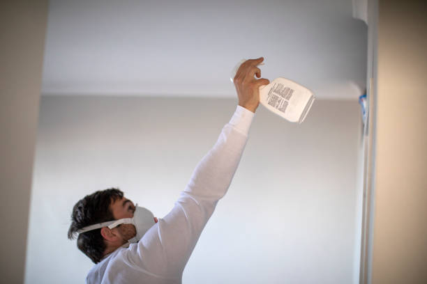 Home Mold Removal in Elm Grove, WI