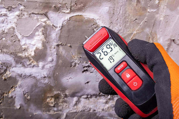 Best Commercial Mold Removal  in Elm Grove, WI