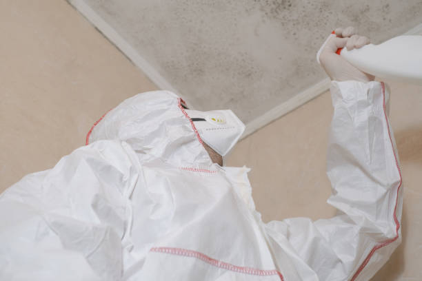 Best Toxic Mold Removal  in Elm Grove, WI
