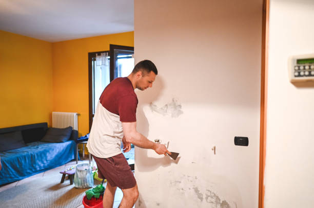 Mold Removal and Inspection in Elm Grove, WI